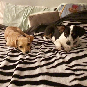 Fundraising Page: Tracy Jones